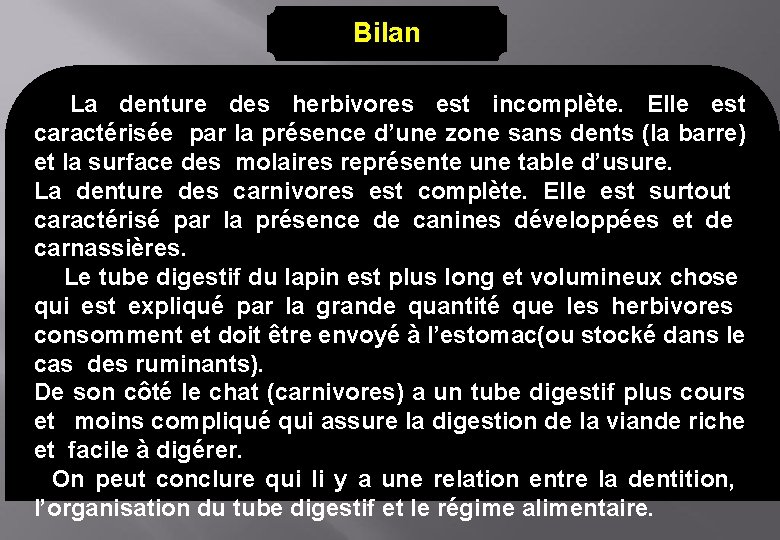 Bilan La denture des herbivores est incomplète. Elle est caractérisée par la présence d’une
