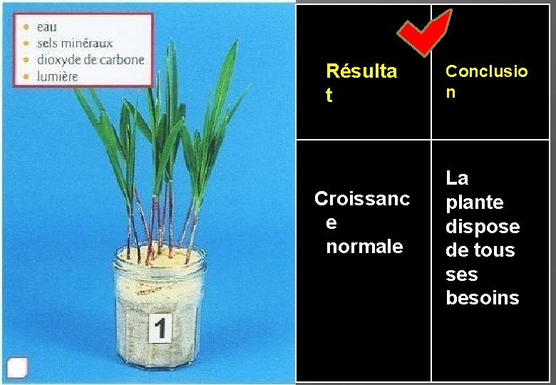 Résulta t Croissanc e normale Conclusio n La plante dispose de tous ses besoins