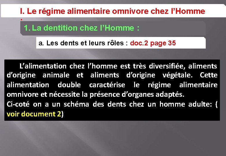 I. Le régime alimentaire omnivore chez l’Homme : 1. La dentition chez l’Homme :