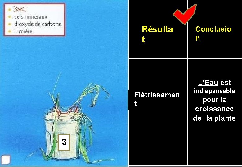 Résulta t Conclusio n L’Eau est Flétrissemen t 3 indispensable pour la croissance de