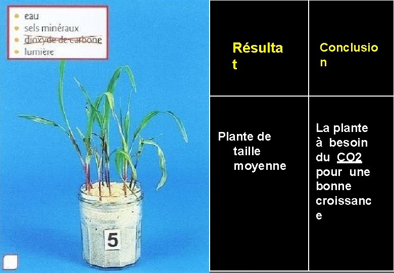Résulta t Plante de taille moyenne Conclusio n La plante à besoin du CO