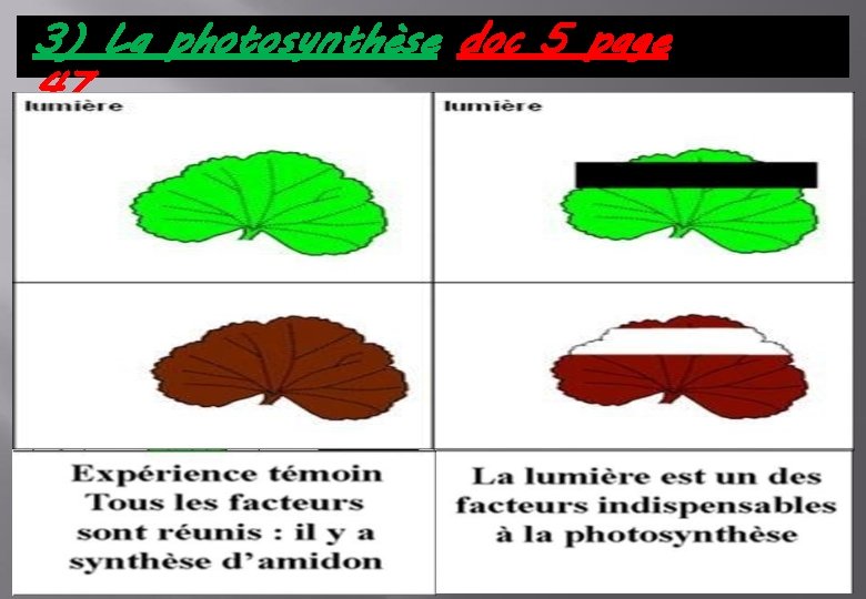 3) La photosynthèse doc 5 page 47 