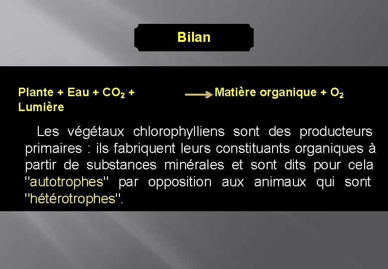 Bilan Plante + Eau + CO₂ + Lumière Matière organique + O₂ Les végétaux