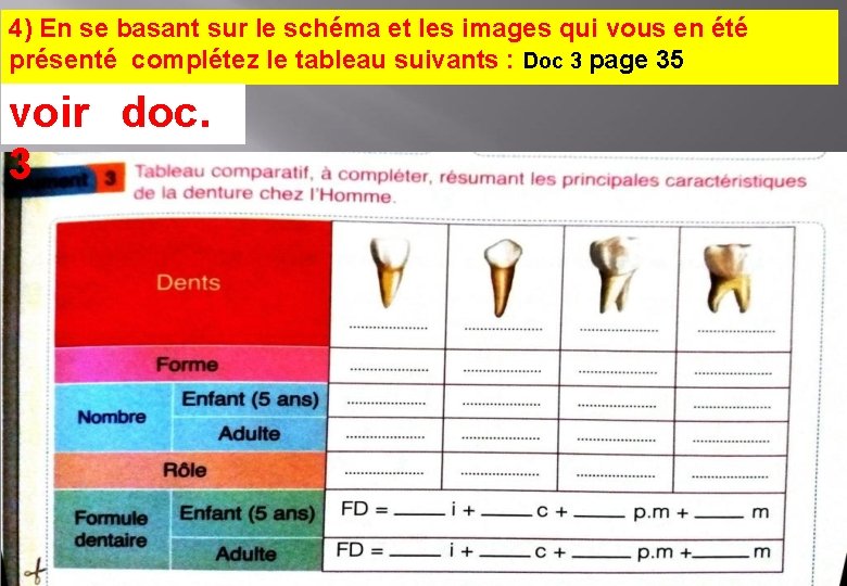 4) En se basant sur le schéma et les images qui vous en été