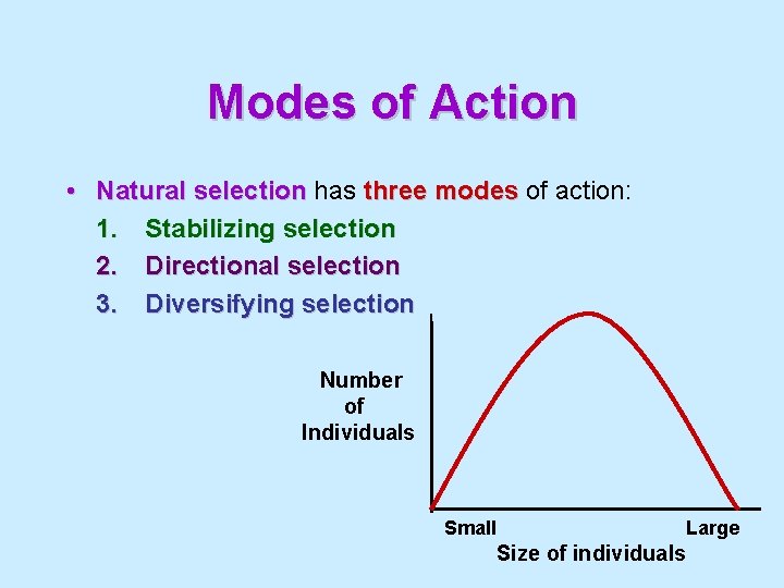 Modes of Action • Natural selection has three modes of action: 1. Stabilizing selection