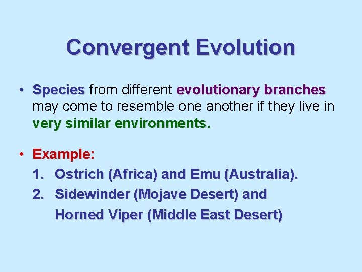 Convergent Evolution • Species from different evolutionary branches may come to resemble one another