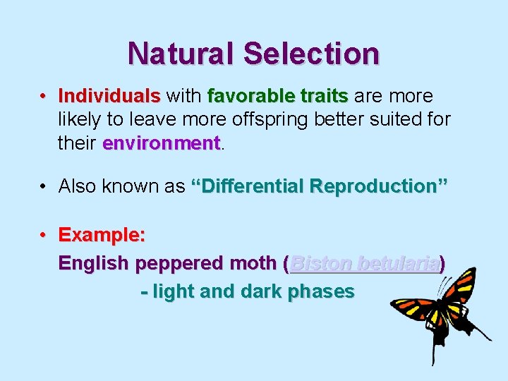 Natural Selection • Individuals with favorable traits are more likely to leave more offspring