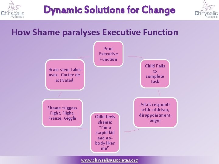 Dynamic Solutions for Change How Shame paralyses Executive Function Poor Executive Function Child Fails