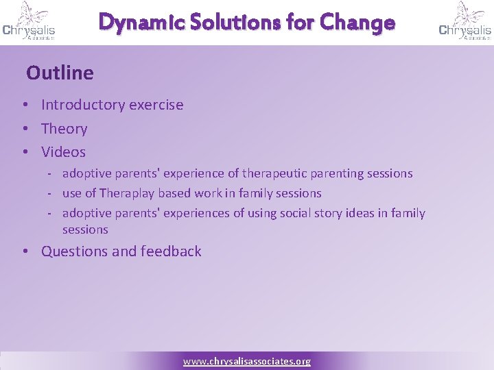 Dynamic Solutions for Change Outline • Introductory exercise • Theory • Videos - adoptive