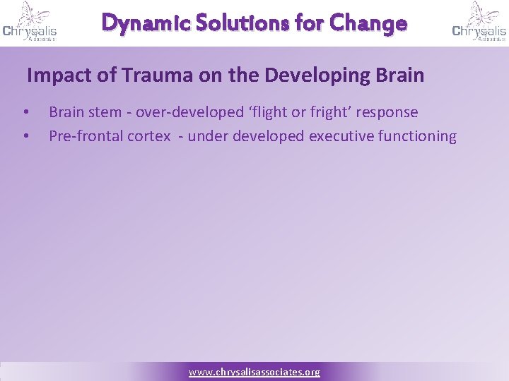 Dynamic Solutions for Change Impact of Trauma on the Developing Brain • • Brain