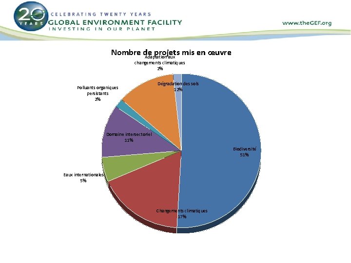 Nombre de projets mis en œuvre Adaptation aux changements climatiques 2% Polluants organiques persistants Nombre de projets mis en œuvre Adaptation aux changements climatiques 2% Polluants organiques persistants