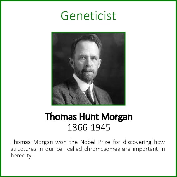 Geneticist Thomas Hunt Morgan 1866 -1945 Thomas Morgan won the Nobel Prize for discovering