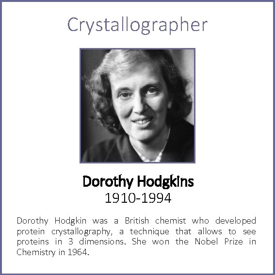 Crystallographer Dorothy Hodgkins 1910 -1994 Dorothy Hodgkin was a British chemist who developed protein