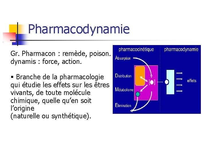 Pharmacodynamie Gr. Pharmacon : remède, poison. dynamis : force, action. § Branche de la