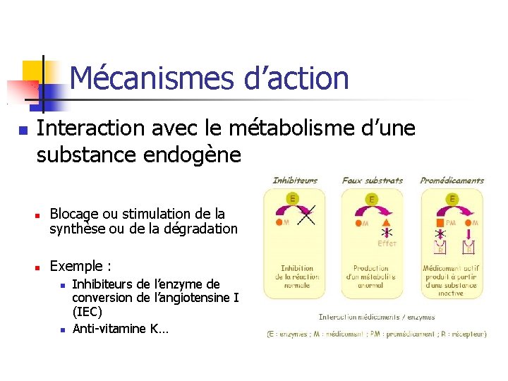 Mécanismes d’action Interaction avec le métabolisme d’une substance endogène Blocage ou stimulation de la