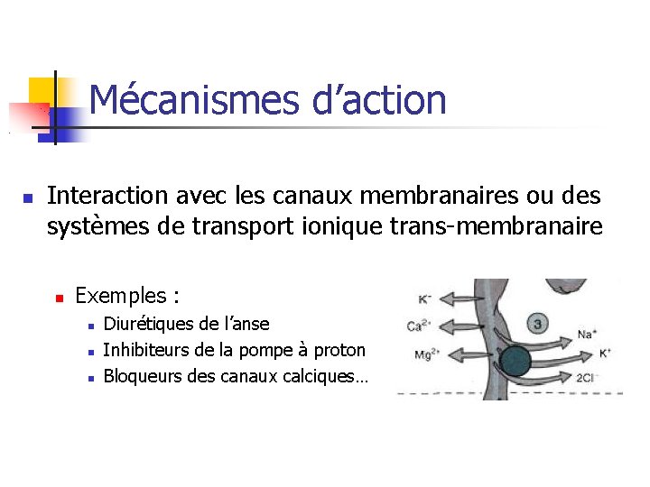 Mécanismes d’action Interaction avec les canaux membranaires ou des systèmes de transport ionique trans-membranaire