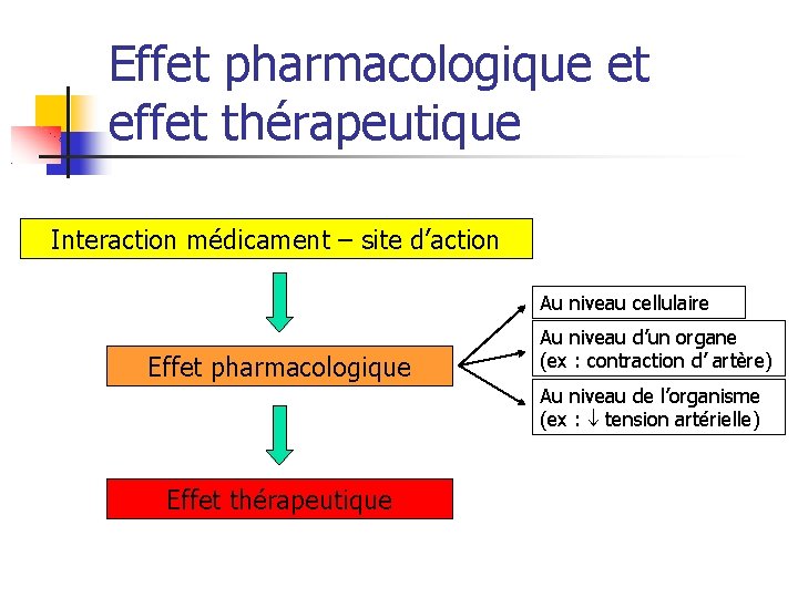 Effet pharmacologique et effet thérapeutique Interaction médicament – site d’action Au niveau cellulaire Effet