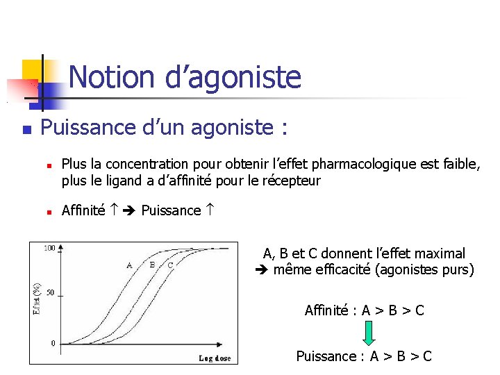 Notion d’agoniste Puissance d’un agoniste : Plus la concentration pour obtenir l’effet pharmacologique est