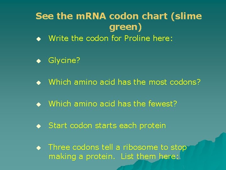 See the m. RNA codon chart (slime green) u Write the codon for Proline