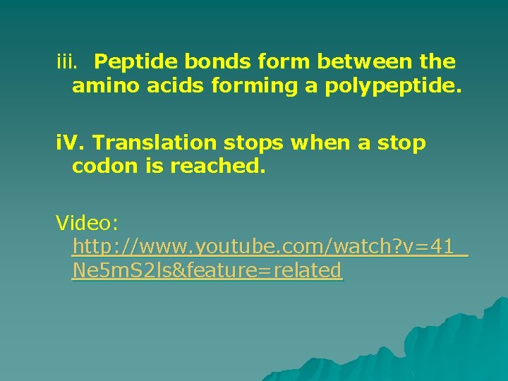 iii. Peptide bonds form between the amino acids forming a polypeptide. i. V. Translation