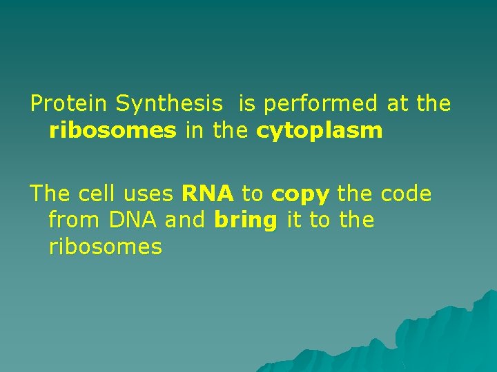 Protein Synthesis is performed at the ribosomes in the cytoplasm The cell uses RNA