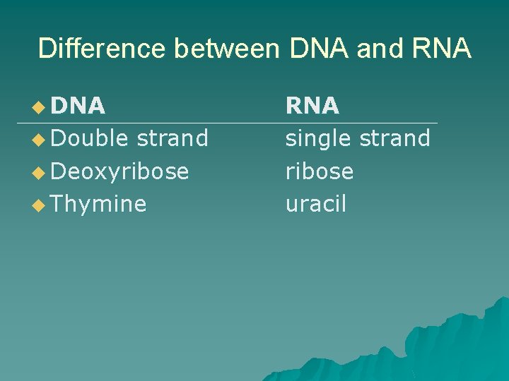 Difference between DNA and RNA u Double strand u Deoxyribose u Thymine RNA single