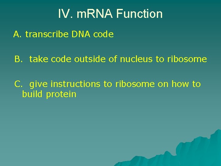IV. m. RNA Function A. transcribe DNA code B. take code outside of nucleus IV. m. RNA Function A. transcribe DNA code B. take code outside of nucleus