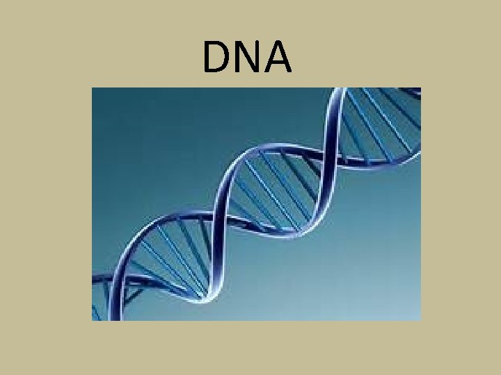 DNA 