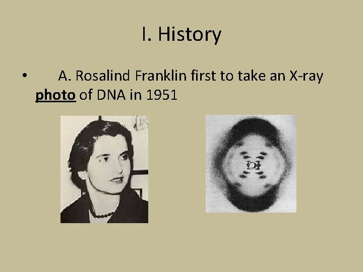 I. History • A. Rosalind Franklin first to take an X-ray photo of DNA