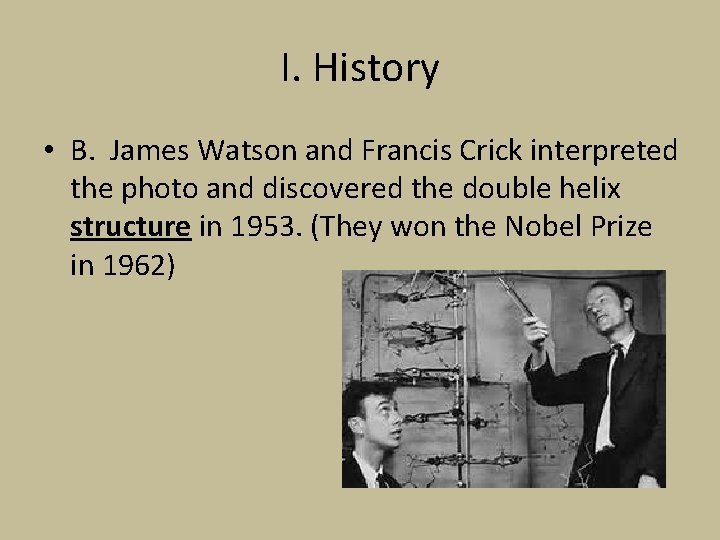 I. History • B. James Watson and Francis Crick interpreted the photo and discovered