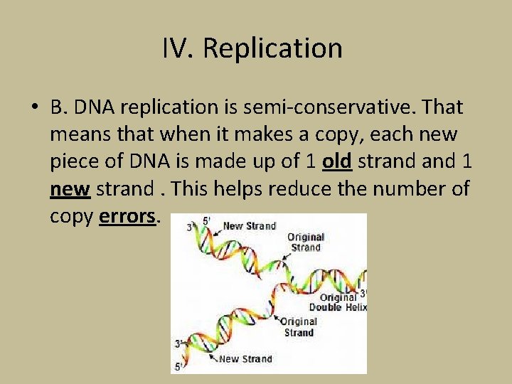 IV. Replication • B. DNA replication is semi-conservative. That means that when it makes