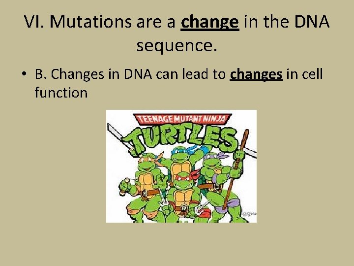 VI. Mutations are a change in the DNA sequence. • B. Changes in DNA