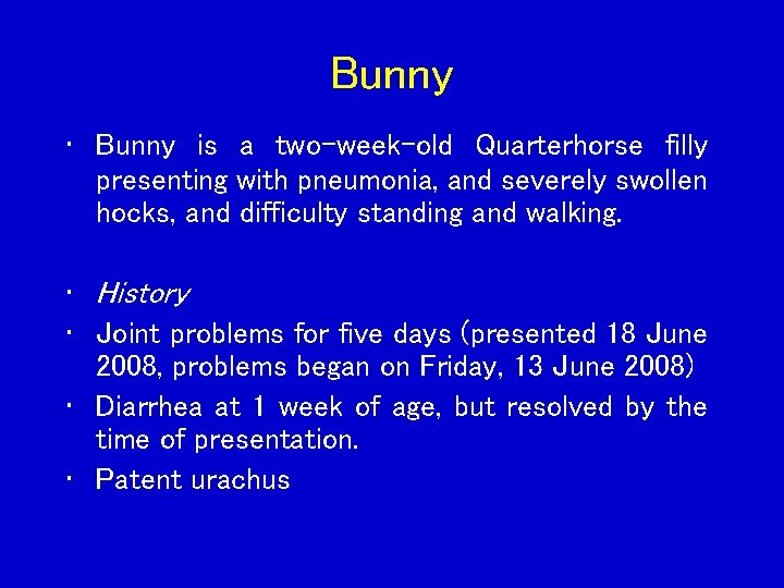 Bunny • Bunny is a two-week-old Quarterhorse filly presenting with pneumonia, and severely swollen