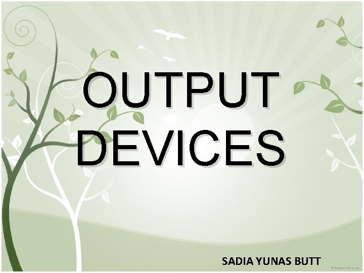 OUTPUT DEVICES SADIA YUNAS BUTT 