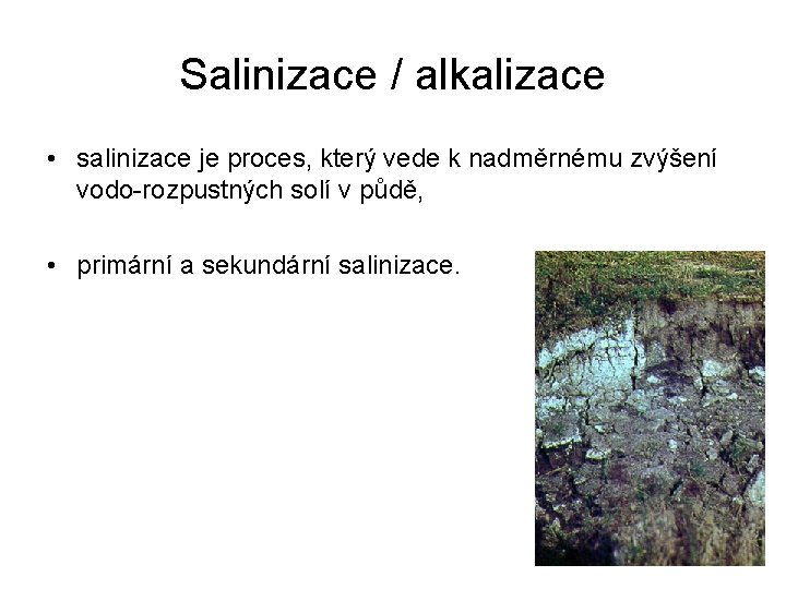 Salinizace / alkalizace • salinizace je proces, který vede k nadměrnému zvýšení vodo-rozpustných solí