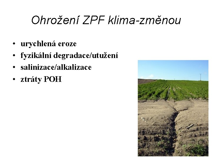 Ohrožení ZPF klima-změnou • • urychlená eroze fyzikální degradace/utužení salinizace/alkalizace ztráty POH 