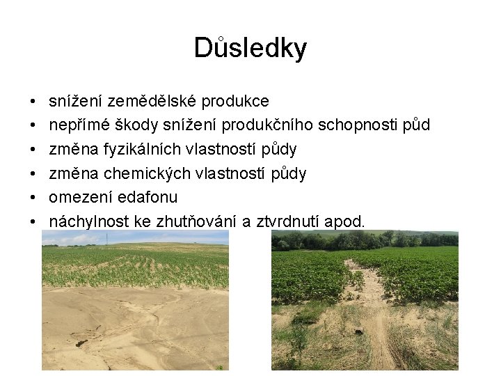 Důsledky • • • snížení zemědělské produkce nepřímé škody snížení produkčního schopnosti půd změna