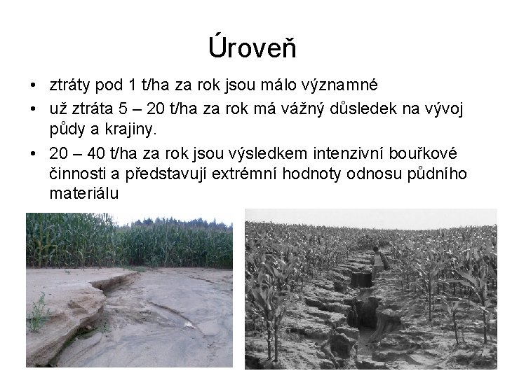 Úroveň • ztráty pod 1 t/ha za rok jsou málo významné • už ztráta