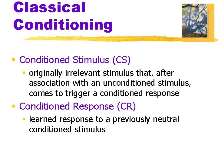 Classical Conditioning § Conditioned Stimulus (CS) § originally irrelevant stimulus that, after association with