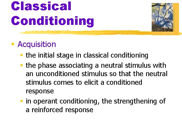 Classical Conditioning § Acquisition § the initial stage in classical conditioning § the phase