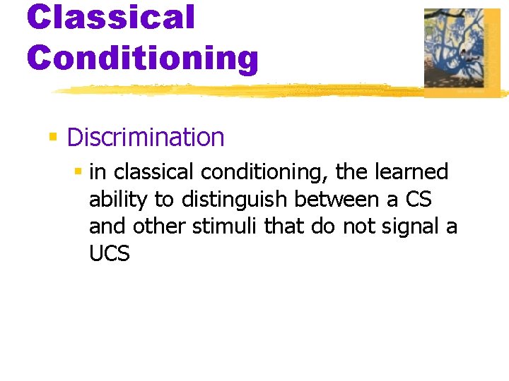 Classical Conditioning § Discrimination § in classical conditioning, the learned ability to distinguish between