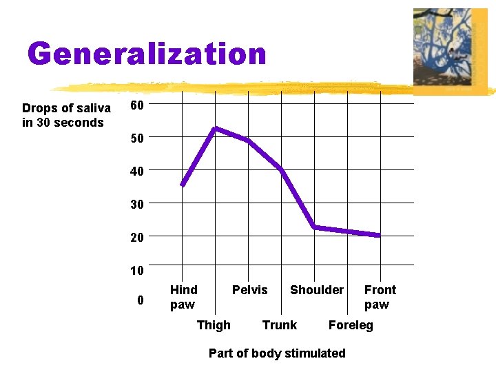 Generalization Drops of saliva in 30 seconds 60 50 40 30 20 10 0