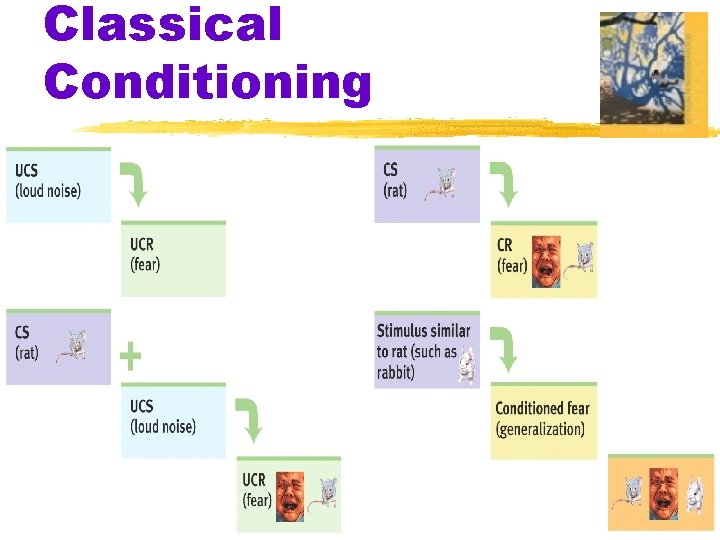 Classical Conditioning 