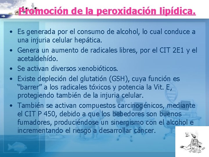 Promoción de la peroxidación lipídica. • Es generada por el consumo de alcohol, lo