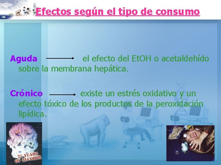 Efectos según el tipo de consumo Aguda el efecto del Et. OH o acetaldehído