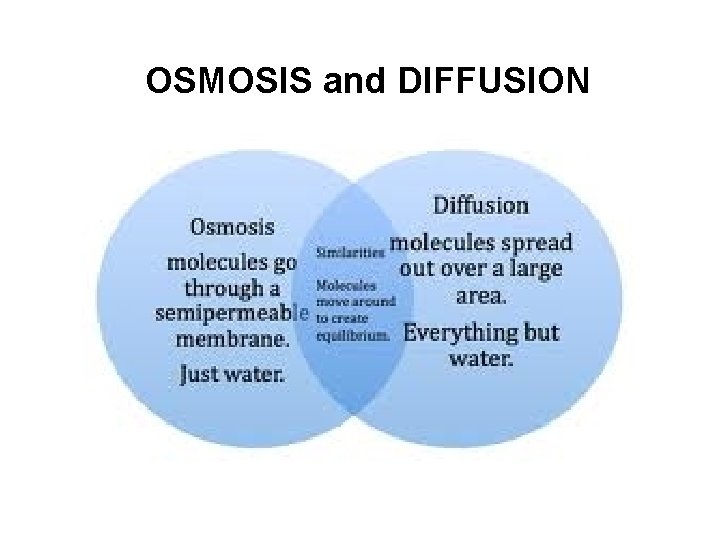 OSMOSIS and DIFFUSION 