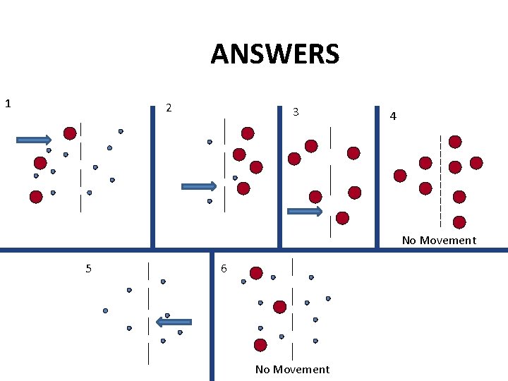 ANSWERS 1 2 3 4 No Movement 5 6 No Movement 