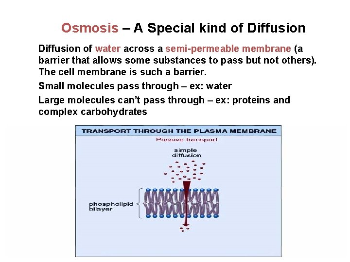 Osmosis – A Special kind of Diffusion of water across a semi-permeable membrane (a