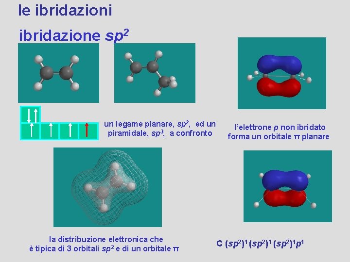 le ibridazioni ibridazione sp 2 un legame planare, sp 2, ed un piramidale, sp