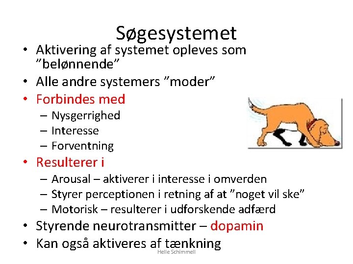 Søgesystemet • Aktivering af systemet opleves som ”belønnende” • Alle andre systemers ”moder” •